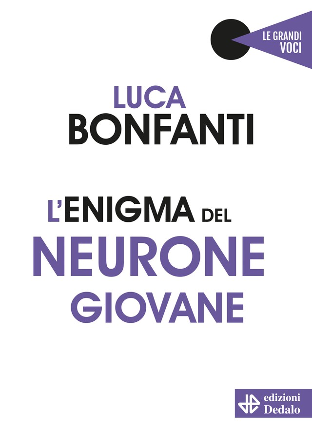 Kirjankansi teokselle L'enigma del neurone giovane