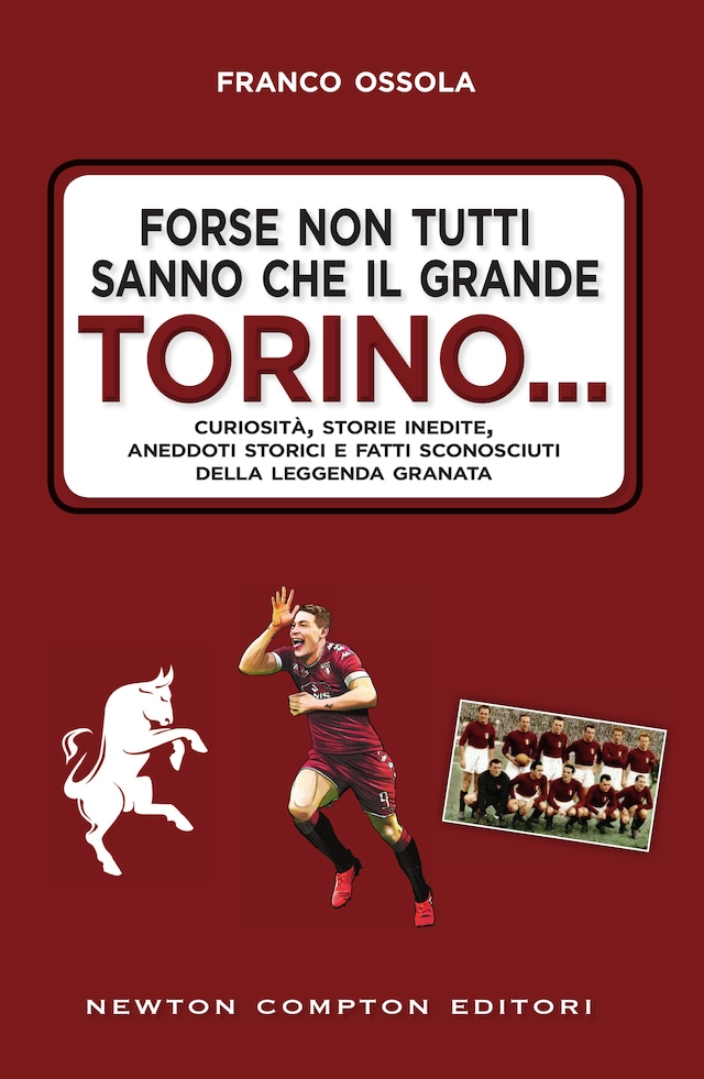 Book cover for Forse non tutti sanno che il grande Torino…