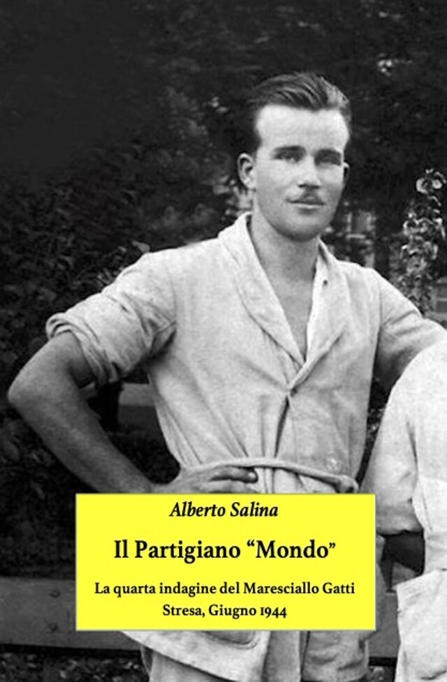 Book cover for Il partigiano "Mondo"