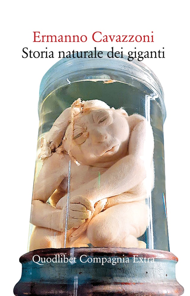 Couverture de livre pour Storia naturale dei giganti
