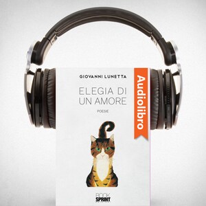 Elegia di un amore bookCoverFor