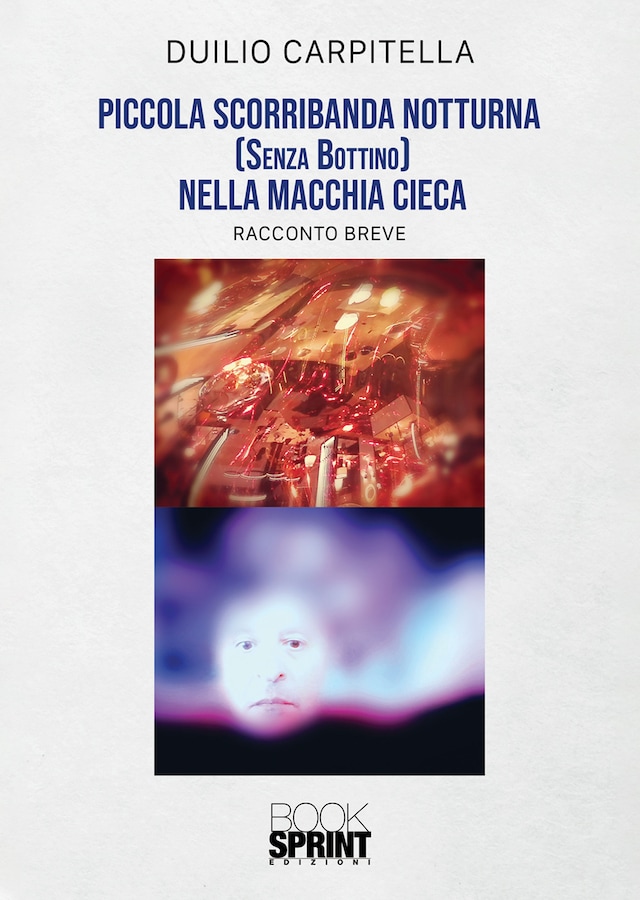 Book cover for Piccola scorribanda notturna (senza bottino) nella macchia cieca