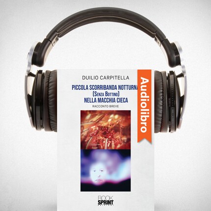 Piccola scorribanda notturna (senza bottino) nella macchia cieca bookCoverFor