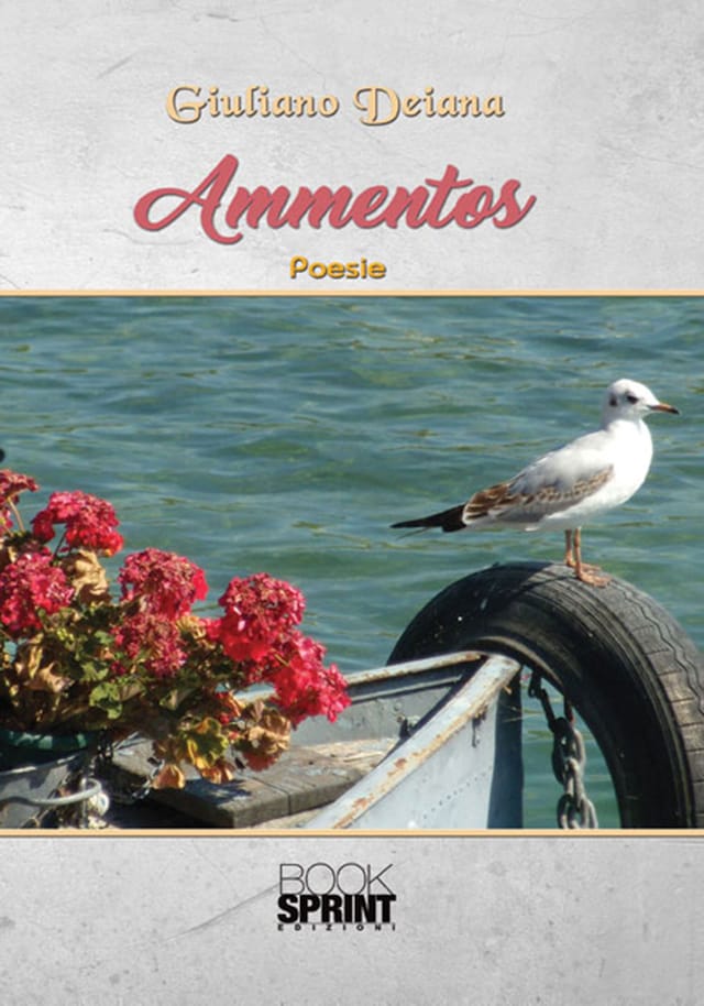 Book cover for Ammentos