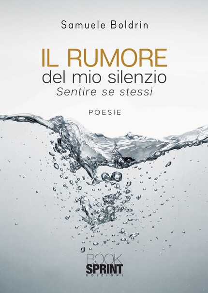 Il rumore del mio silenzio bookCoverFor
