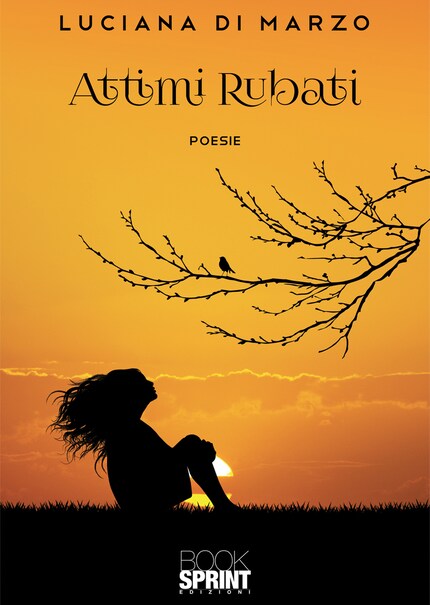 Attimi Rubati bookCoverFor
