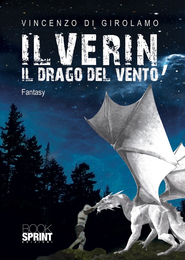 Book cover for Ilverin, il drago del vento