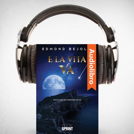 E la vita va bookCoverFor