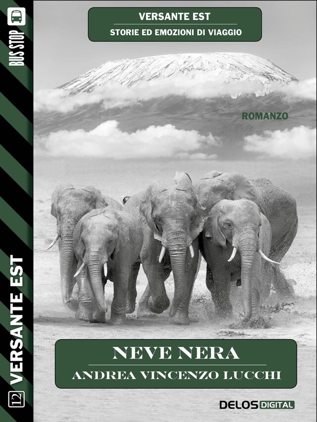 Book cover for Neve nera