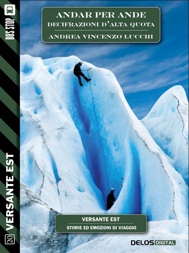 Book cover for Andar per Ande - Decifrazioni d'alta quota