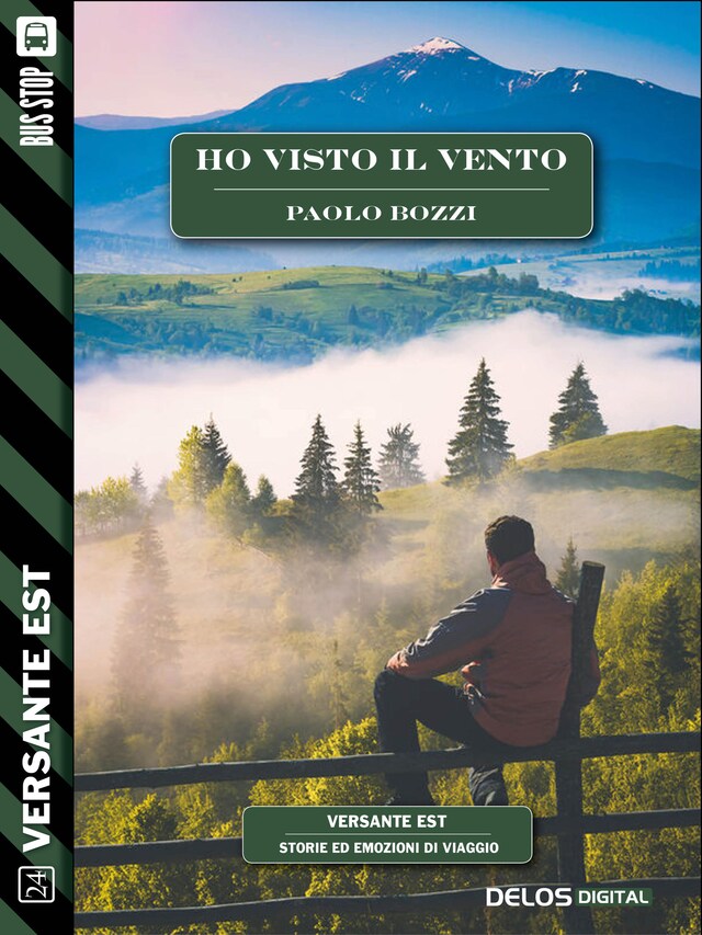 Book cover for Ho visto il vento