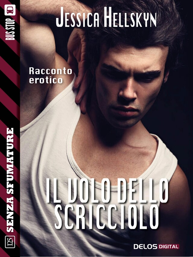 Book cover for Il volo dello scricciolo