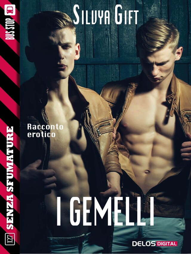 Copertina del libro per I gemelli