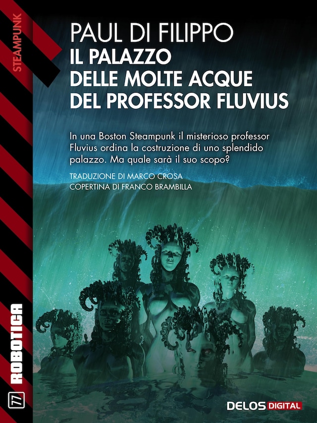 Book cover for Il Palazzo delle Molte Acque del professor Fluvius