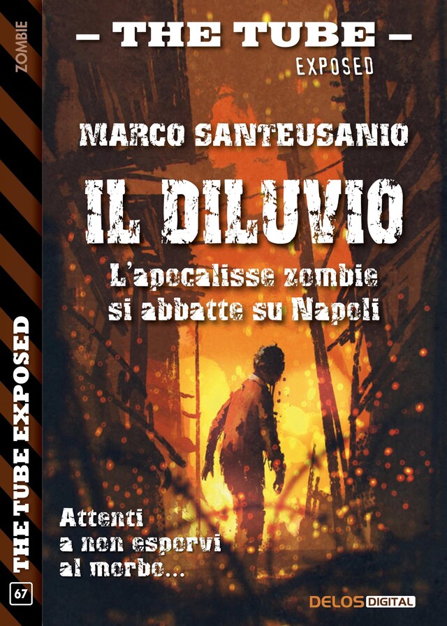 Copertina del libro per Il diluvio