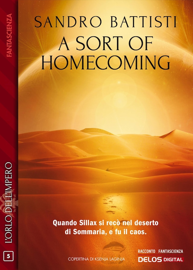 Book cover for A sort of homecoming