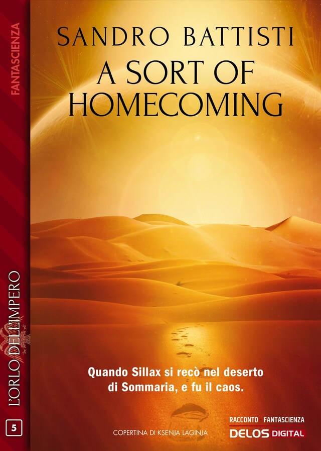 Book cover for A sort of homecoming