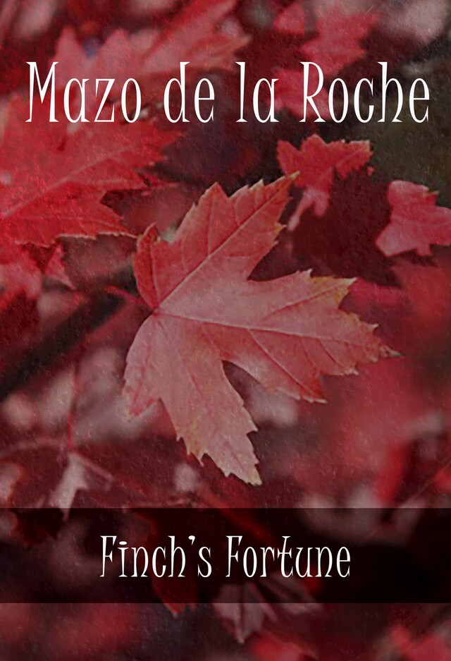 Book cover for Finch's Fortune