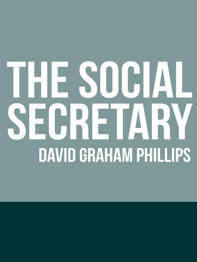 Book cover for The Social Secretary