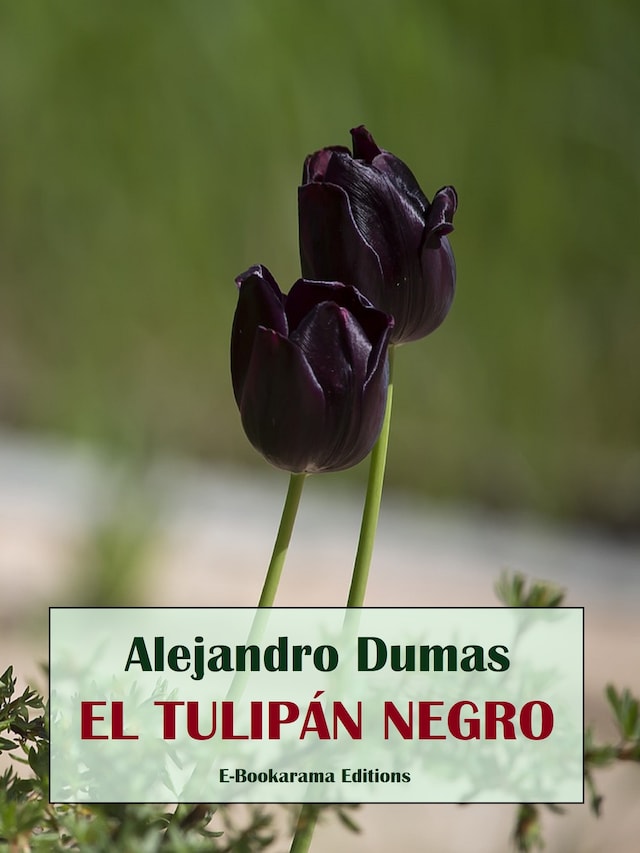 Couverture de livre pour El tulipán negro