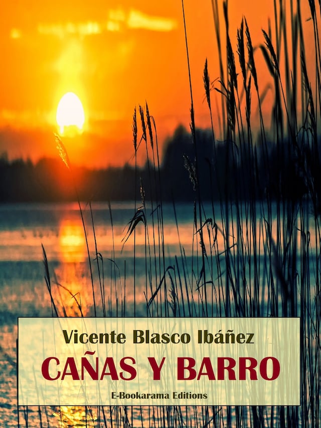 Buchcover für Cañas y barro