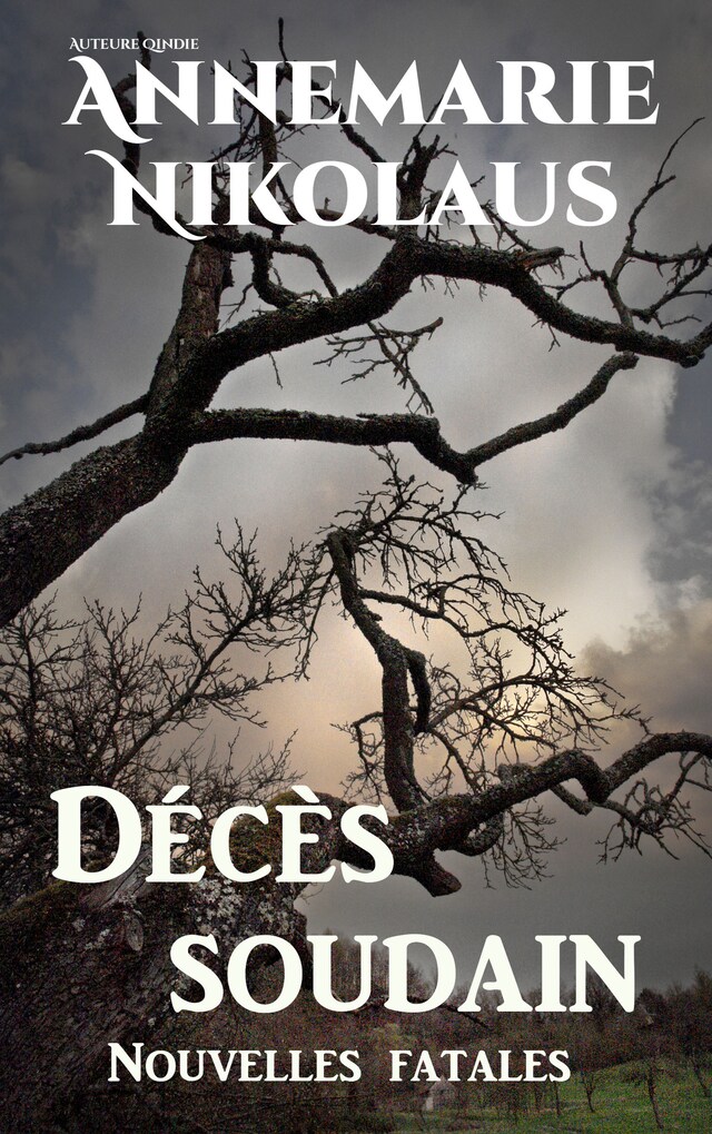 Book cover for Décès soudain