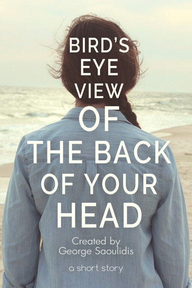 Couverture de livre pour Bird’s-Eye View of the Back of Your Head