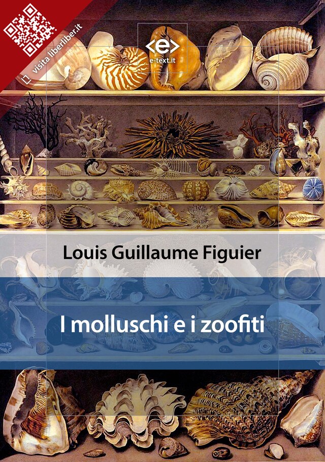 Copertina del libro per I molluschi e i zoofiti