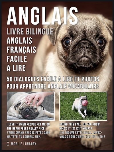 Bulldog Francese - Petme