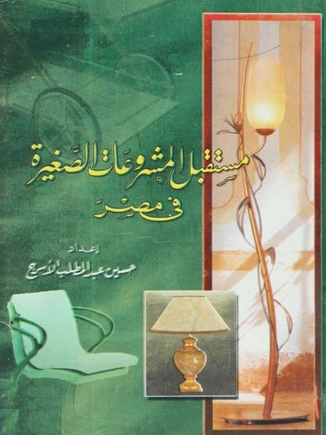 Book cover for مستقبل المشروعات الصغيرة فى مصر