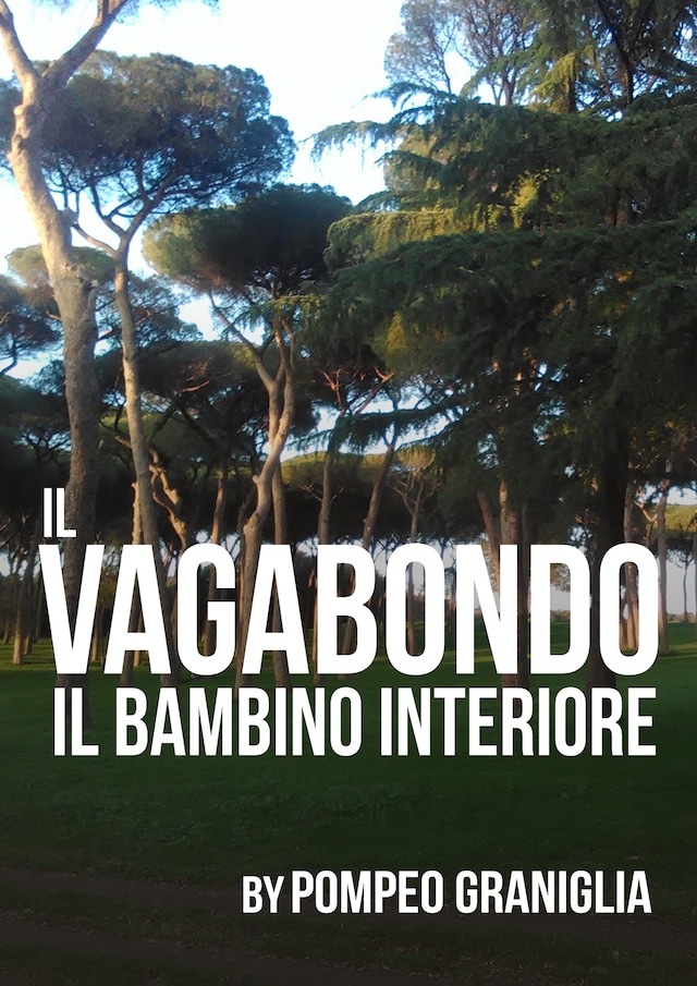 Book cover for Il Vagabondo