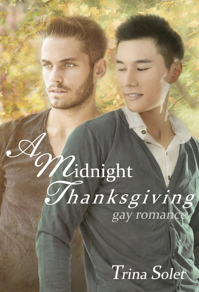 Book cover for A Midnight Thanksgiving (Gay Romance)