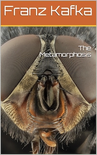 Metamorphosis