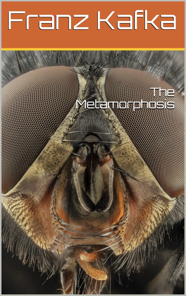 Copertina del libro per Metamorphosis