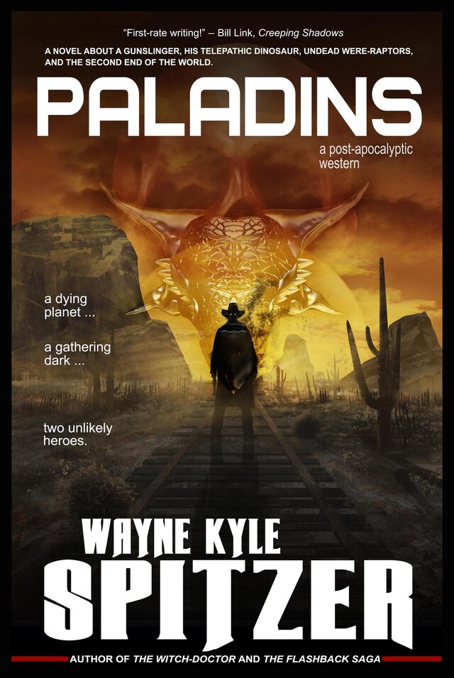 Couverture de livre pour Paladins: A Post-apocalyptic Western