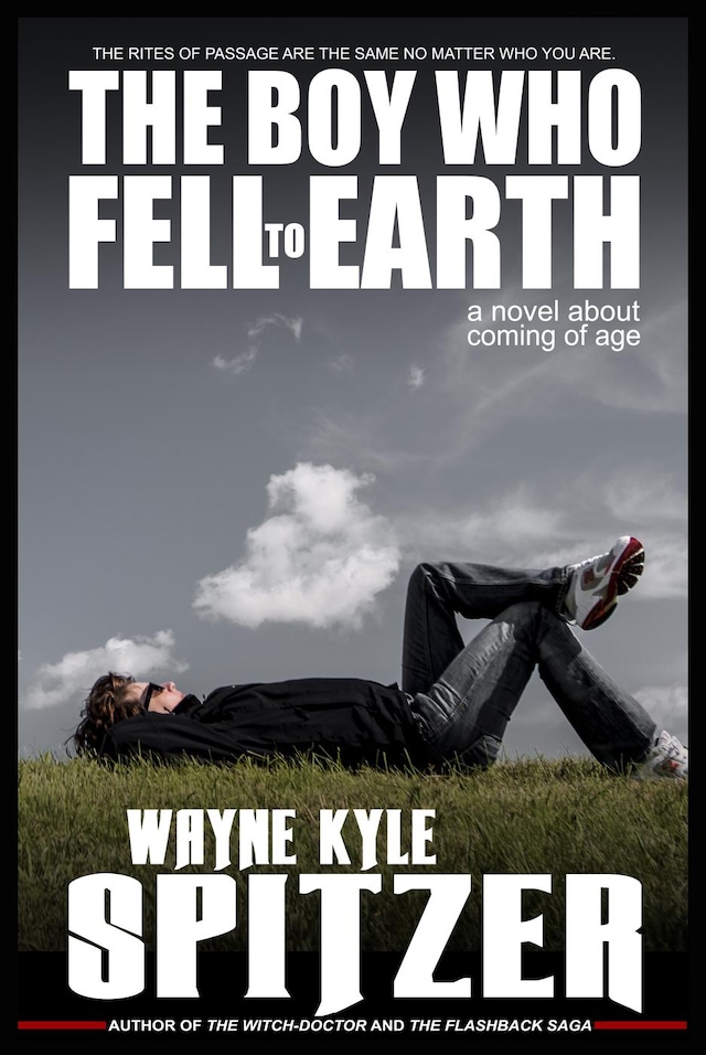 Book cover for The Boy Who Fell to Earth