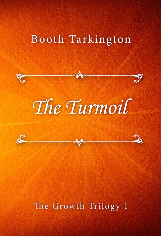 Book cover for The Turmoil