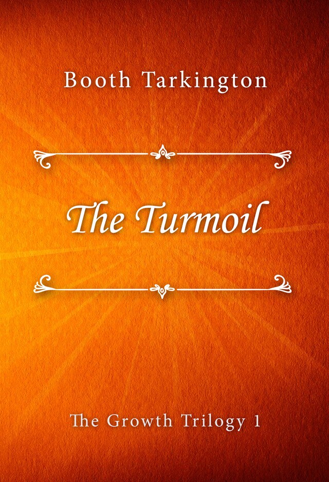 Book cover for The Turmoil