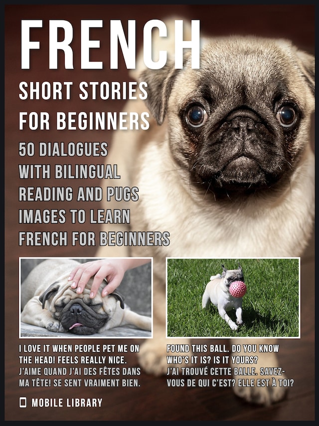 Book cover for French Short Stories for Beginners