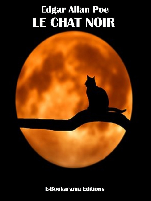 Boekomslag van Le Chat noir