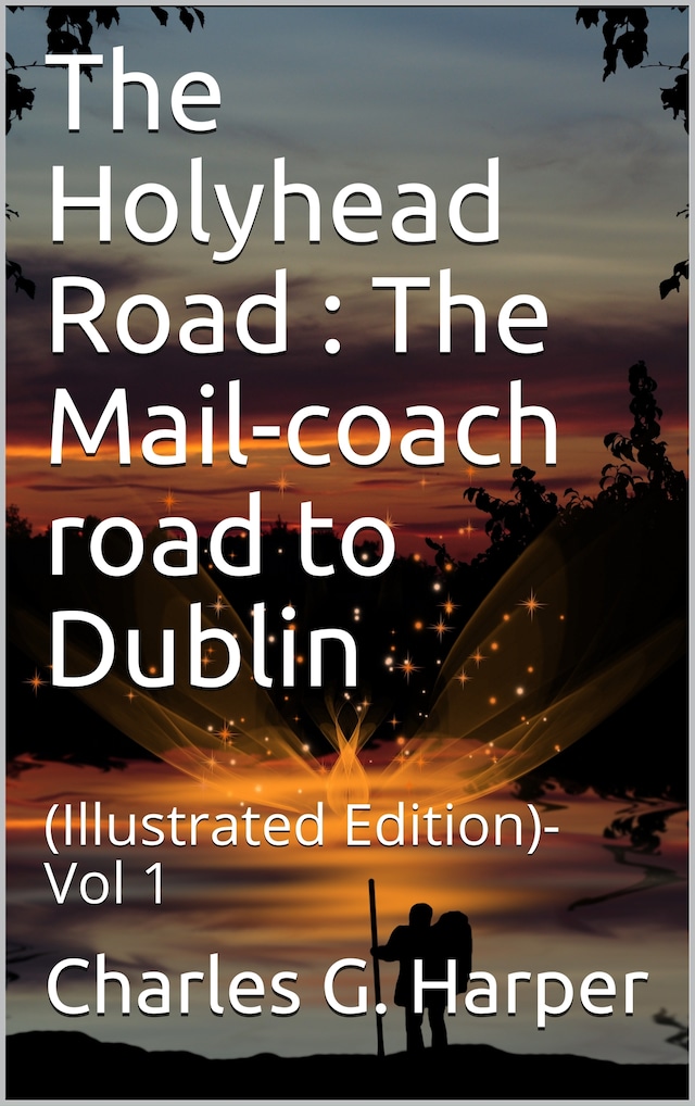 Buchcover für The Holyhead Road Vol 1 / The Mail-coach road to Dublin