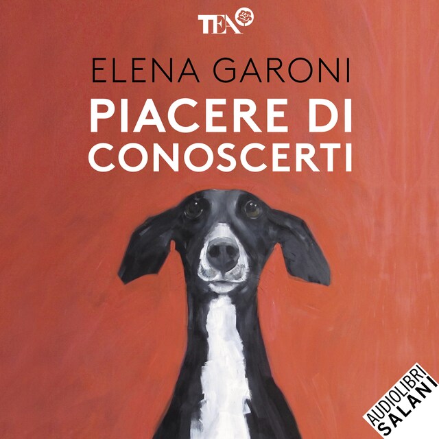 Buchcover für Piacere di conoscerti