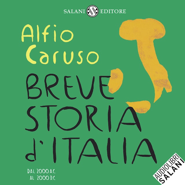 Book cover for Breve storia d'Italia