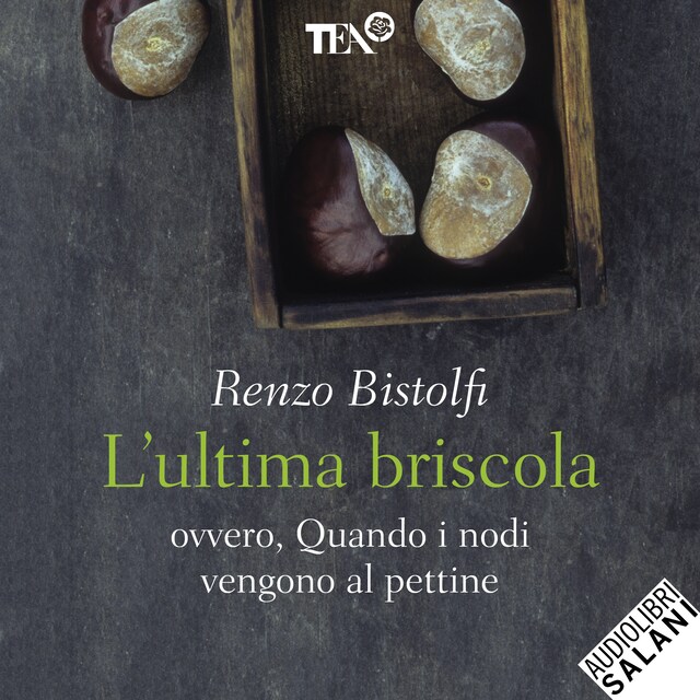 Bokomslag for L'ultima briscola