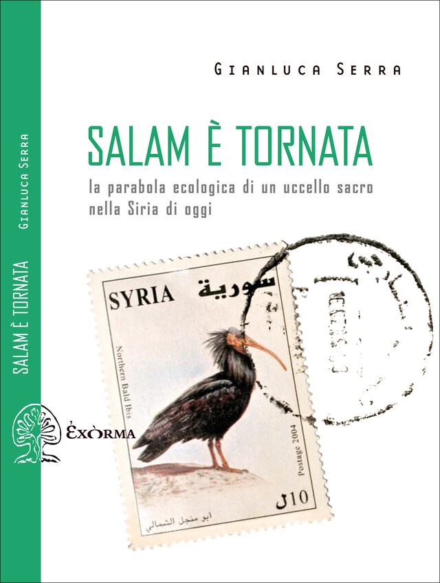 Couverture de livre pour Salam è tornata