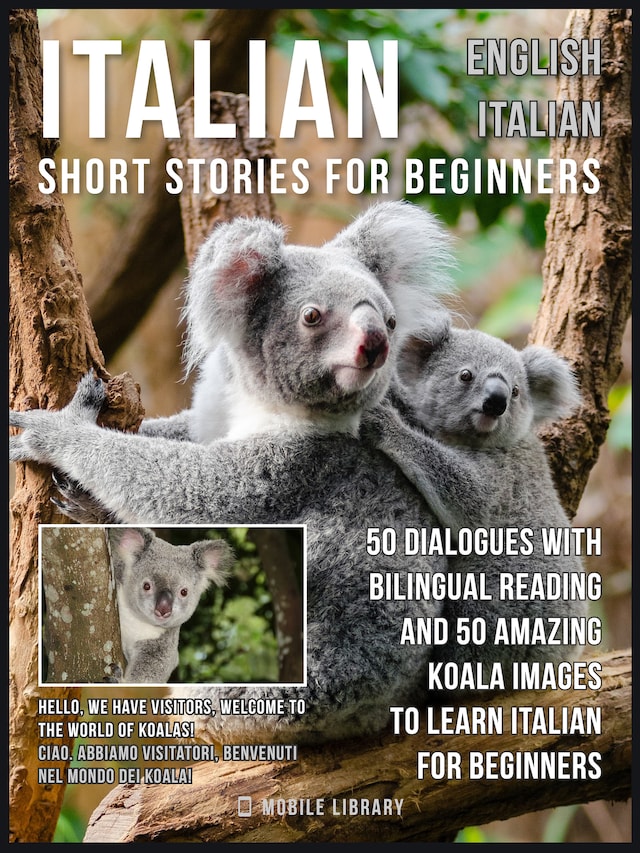 Book cover for Italian Short Stories for Beginners - English Italian