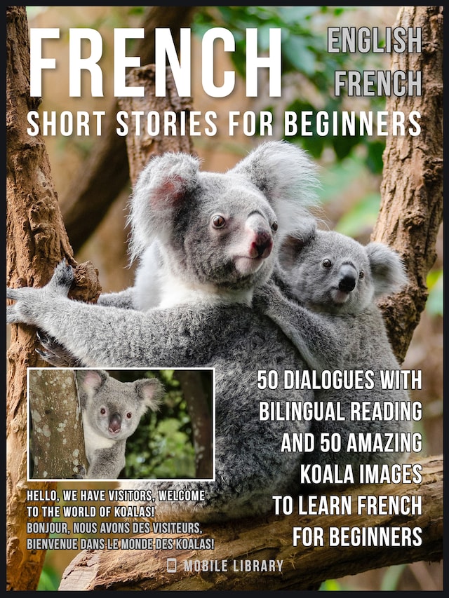 Book cover for French Short Stories for Beginners - English French
