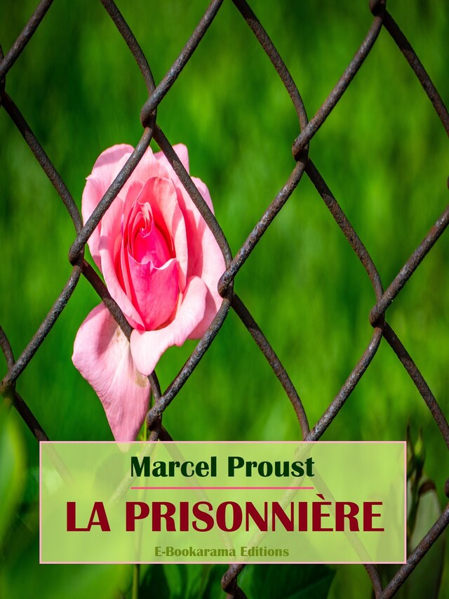 Boekomslag van La Prisonnière