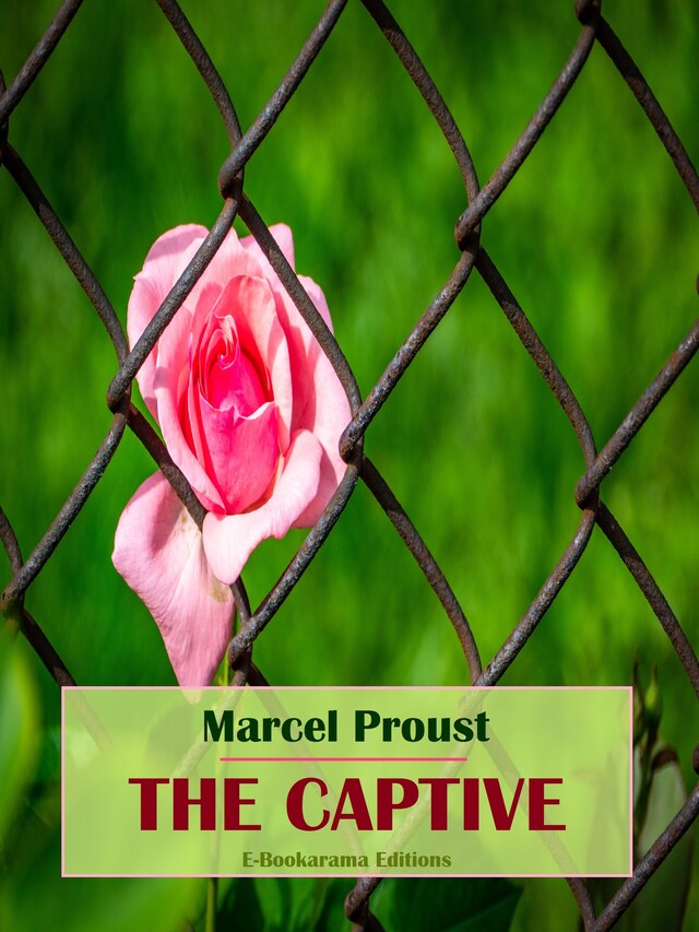 Boekomslag van The Captive