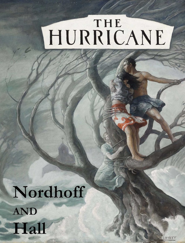 Book cover for The Hurricane